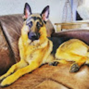 Meet your Posher, Kirstyn